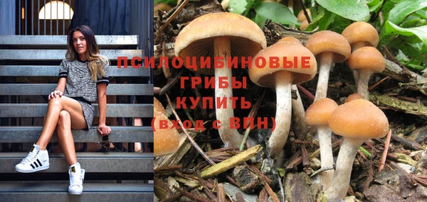 гидра Мегион