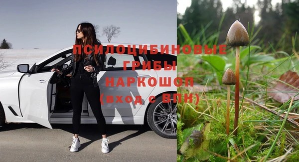 гидропоника Медвежьегорск
