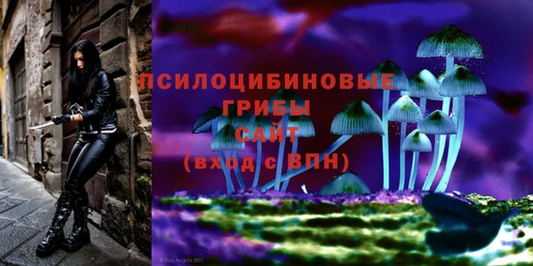 гидропоника Медвежьегорск