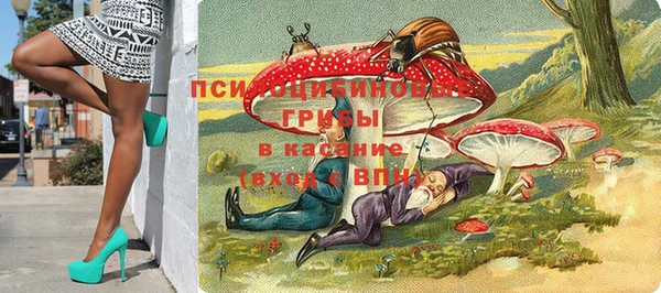 гидропоника Медвежьегорск
