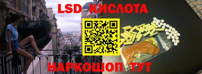 винт Донецк