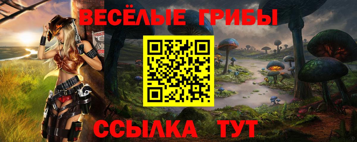 Героин  Мурманск  COCAIN  MDMA  Гашиш  Конопля  Меф   APVP СОЛЬ кристаллы  Марихуана  АМФЕТАМИН  