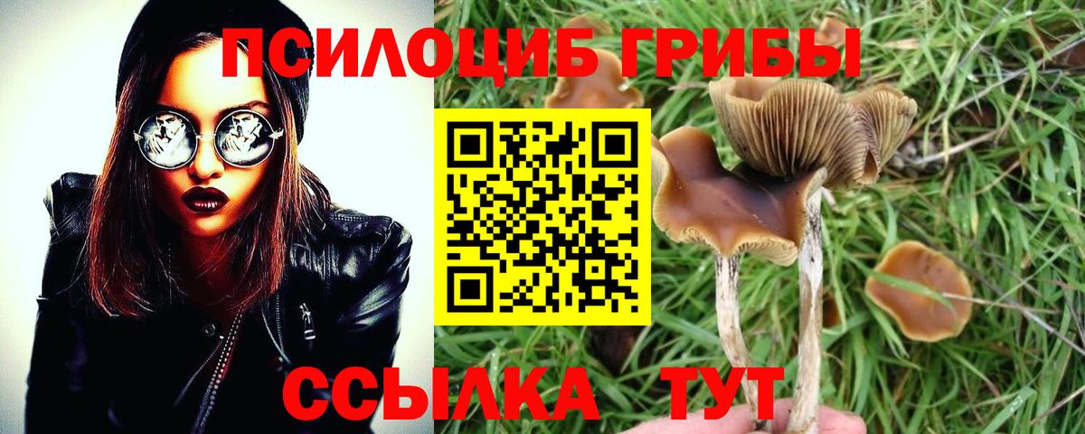 Галлюциногенные грибы Psilocybe  Псилоцибиновые грибы Magic Shrooms  Вход с VPN  Мурманск 