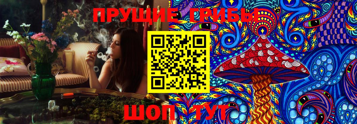 Галлюциногенные грибы Psilocybe Мурманск