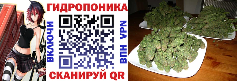 мега онион  Мурманск  Каннабис план 