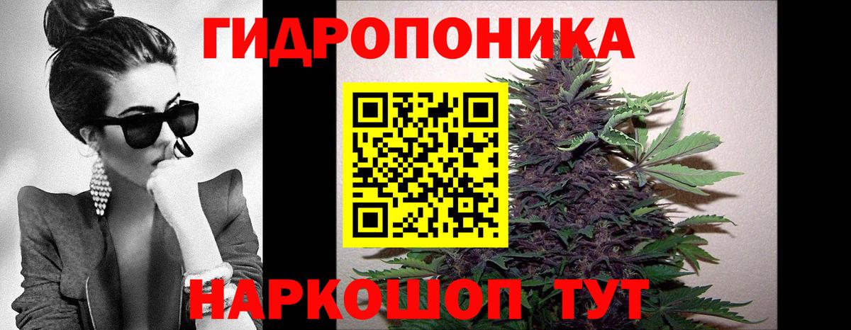 Бутират Мурманск